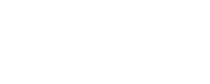 logotipo-anelair-empresa-participante-curso-de-ventas.webp