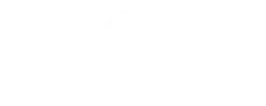 logotipo-bikephilosophy-empresa-participante-curso-de-ventas.webp