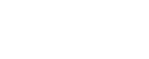 logotipo-centrosur-empresa-participante-curso-de-ventas.webp