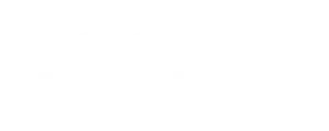 logotipo-generalelevadores-empresa-participante-curso-de-ventas.webp