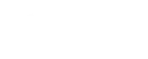 logotipo-nugasur-empresa-participante-curso-de-ventas.webp